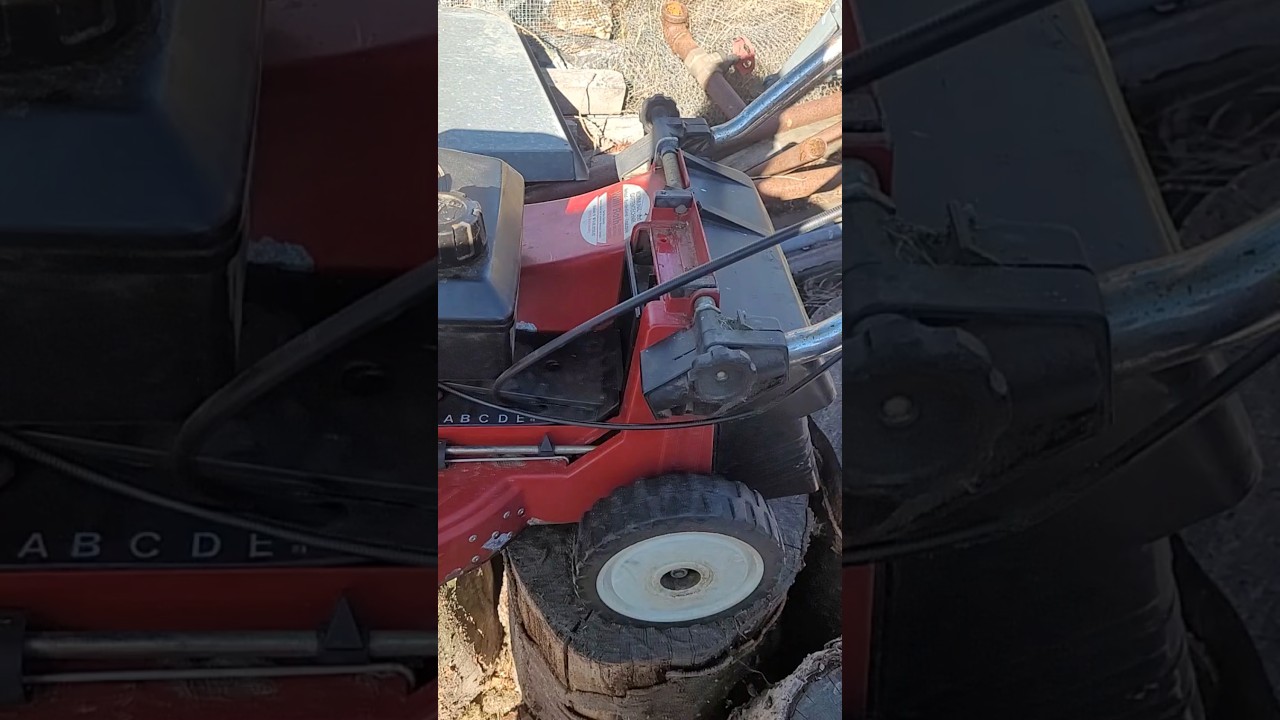 TORO Antriebsriemen 18375 – 695 Mm Innenlänge, ZX-Profil, Ersatz Für Original TORO 18375
