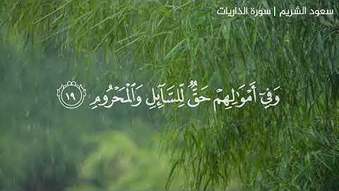 ﴿إِنَّ المُتَّقينَ في جَنّاتٍ وَعُيونٍ﴾ القارئ سعود الشريم
