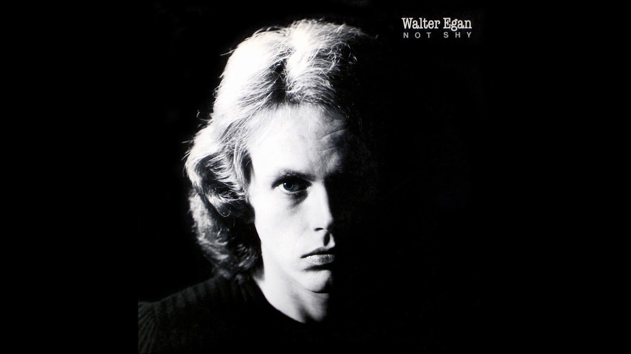 Walter Egan and Steel Accordi Chordify