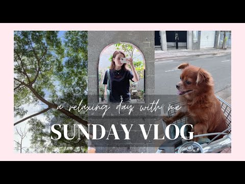 Video Vlog chủ nhật nhẹ nhàng // dọn dẹp, nghỉ ngơi và chuẩn... - youtube