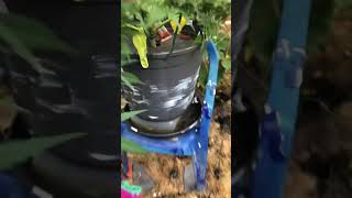 Anti Schnecken- Anstrich