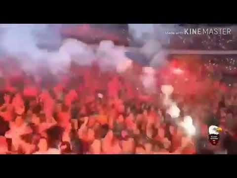 عمري محب غير الاهلي