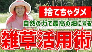 【雑草活用】畑の土がふかふかに蘇る雑草活用術！今日からできる草マルチガーデニング！雑草を生えづらくさせるおすすめの方法も！【草マルチ/雑草堆肥】