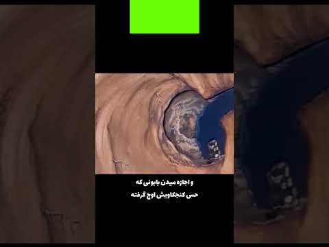 Norouzzadh1990 دانستنی آفریقا میمون مضحك عجائب ویدیو کوتاه Viral Video Monkey Shorts Fyp