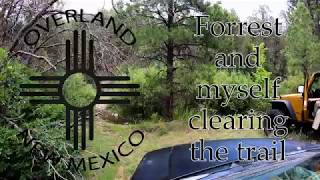 Forrest and myself clearing trail on FR83 in the SFNF