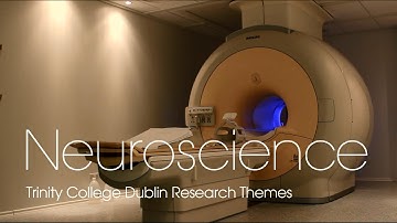 Neuroscience Research Theme at Trinity