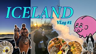 ▶冰島Vlog◀ 一起從巴黎去冰島追極光～有成功看到⁉️／米其林推薦海鮮大餐／冰島馬初體驗?