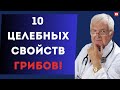 Ваш доктор - гриб! 10 суперспособностей для здоровья.
