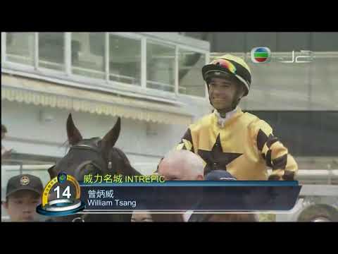 2018/19 (650) - INTREPIC (威力名城) - 莫雷拉 (37倍)