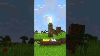 Mojang removed the Minecraft inventory?