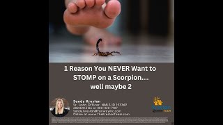 Why You Should Never Squish Or Stomp On A Scorpion
