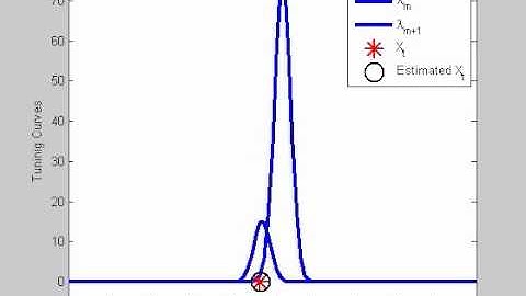 Spike Rate Adaptation Model