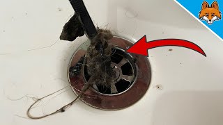 I Have Never Cleaned My Drain So Easily Watch And Be Amazed