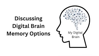 A Discussion on Memory Options for Digital Brains Profile