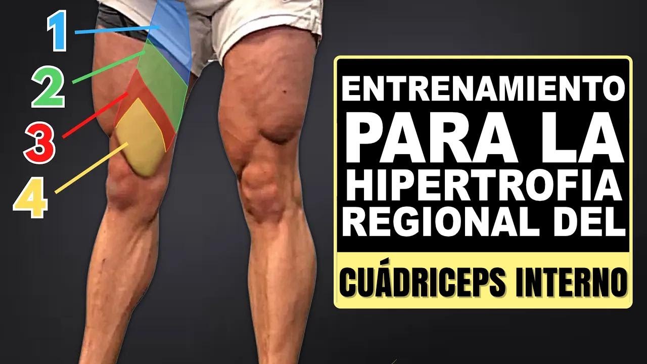 Nueva ciencia para crecer tu lágrima del muslo: ¡ejercicios para el vasto medial!