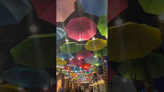 Majboor 💗🌸 | #trending #viral #love #lyrics #song #ytshorts #shorts #reels