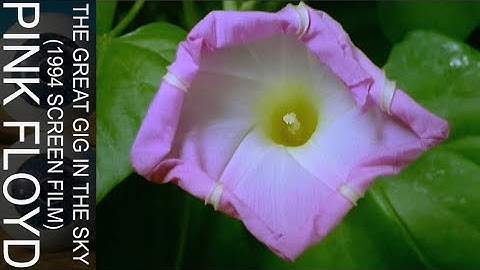 Pink Floyd - The Great Gig In The Sky (1994 Screen Film)