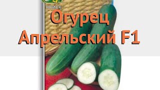 Огурец обыкновенный Апрельский F1 (aprelskiy f1) 🌿 обзор: как сажать, семена огурца Апрельский F1