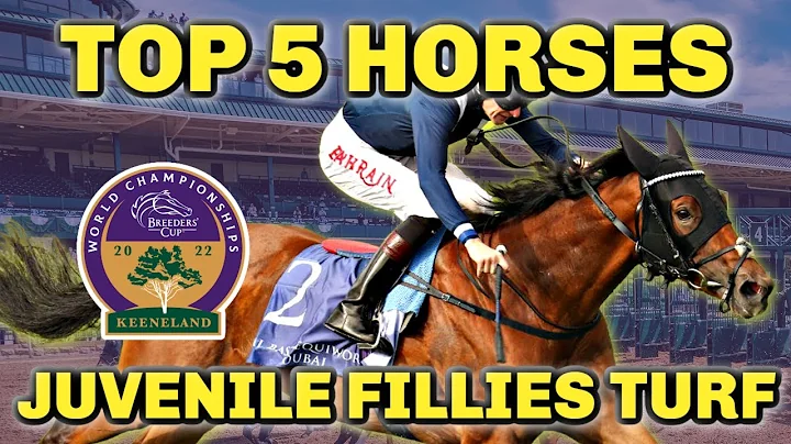 COMMISSIONING A Complete Queen Overseas | Top 5 Breeders Cup Juvenile Fillies Turf Horses