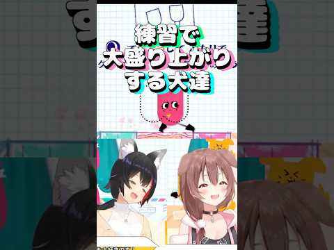 【#ふたりは神様MaxDOG】練習で大盛り上がりする犬達 #shorts #vtuber #戌神ころね #切り抜き #ホロライブ