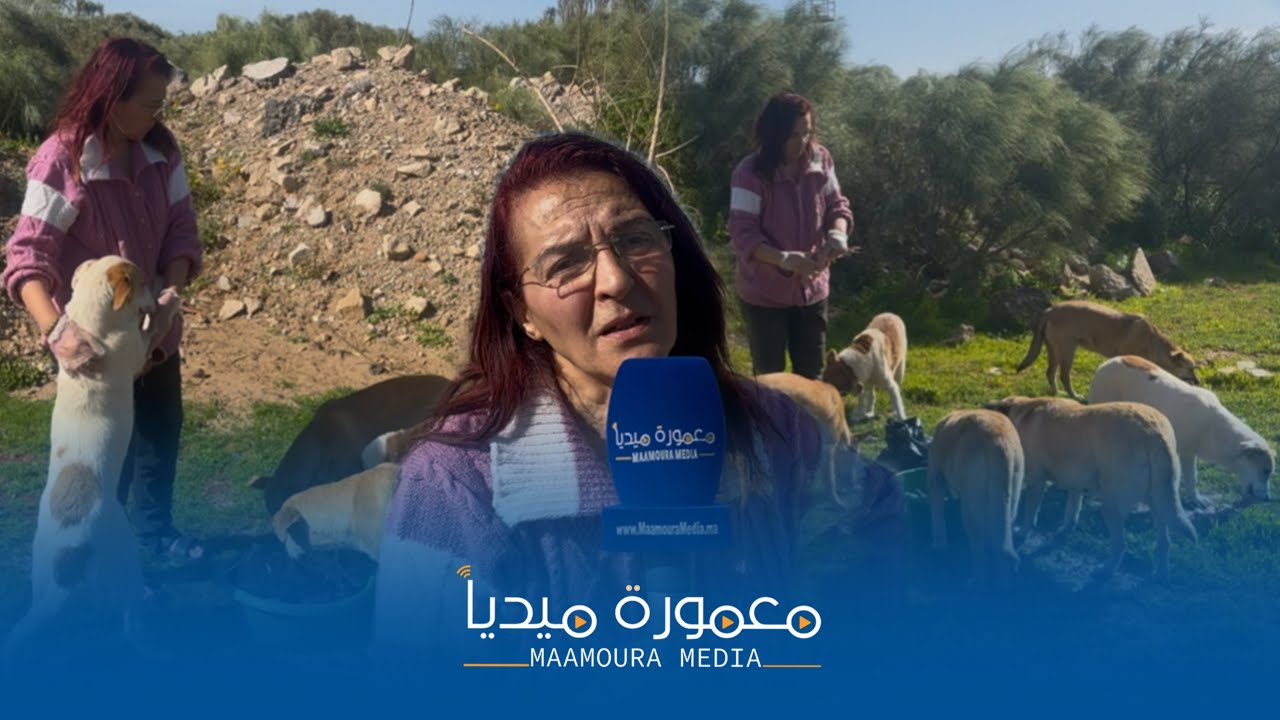 القنيطرة.. عمل تطوعي لدعم الحيوانات في شهر رمضان في إطار مبادرة إنسانية.