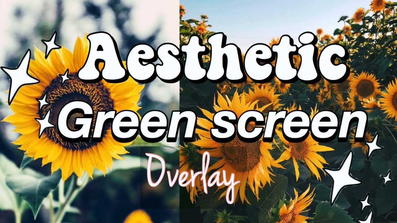 ⭐️⭐️Aesthetic GREEN  SCREEN OVERLAYS FOR YOUTUBE VIDEOS 2020 Edition **Free to Download* ⭐️⭐️