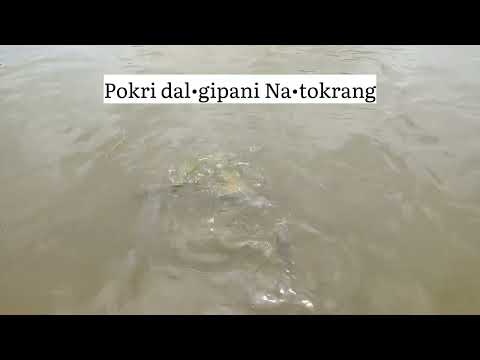 ผลสลากกินแบ่งรัฐบาล วันที่ 1 พย. 2567