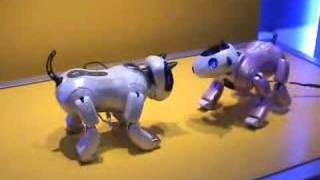 Genibo Dog Robot - ROBORAMA.info
