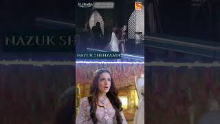 Shehzadi ???