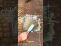 Tiles Cleaner Liquid #shorts #gadgets #tilecleaning #products