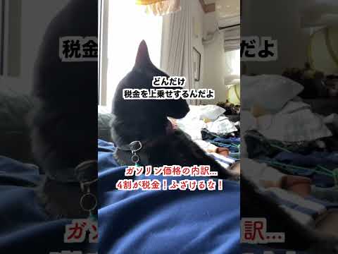 【激怒】ガソリン価格の内訳「4割が税金ってふざけるな！」