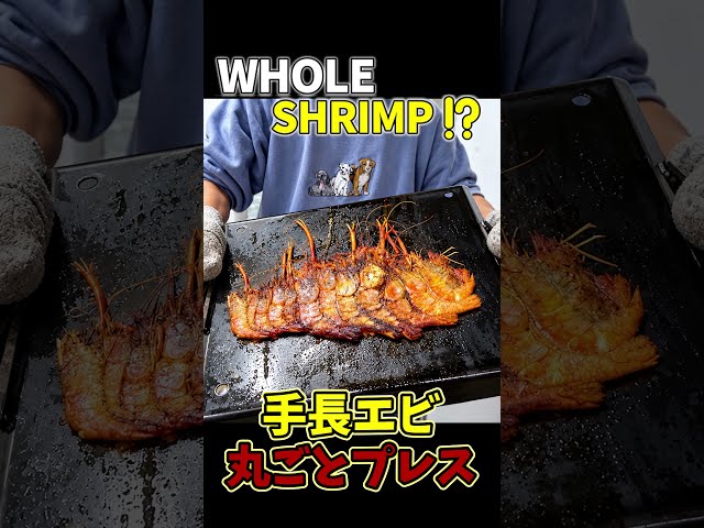 手長エビを丸ごとプレスしてみた