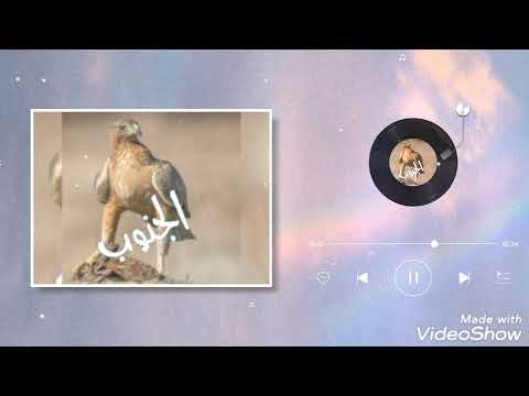 شلية الشيخ ماجد الهزازي