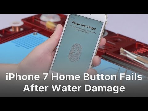 How To Repair iPhone 7 Home Button Not Working After Water Damage