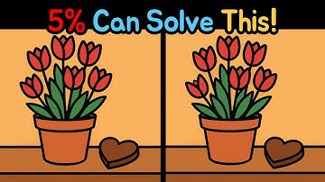Spot The Difference: 5% Can Solve This! The Detective