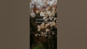 سورة الشعراء | الآيات 78-82 #القارئ_محمد_المنشاوي