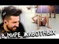 HARD PLAY СМОТРИТ TWITCH ТОП МОМЕНТЫ ЖУТКИЙ КОСПЛЕЙ СОРАБИ