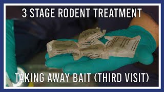 3 stage rodent treatment: taking away bait (third visit) by PGH Pest Prevention 69 views 2 years ago 2 minutes, 17 seconds