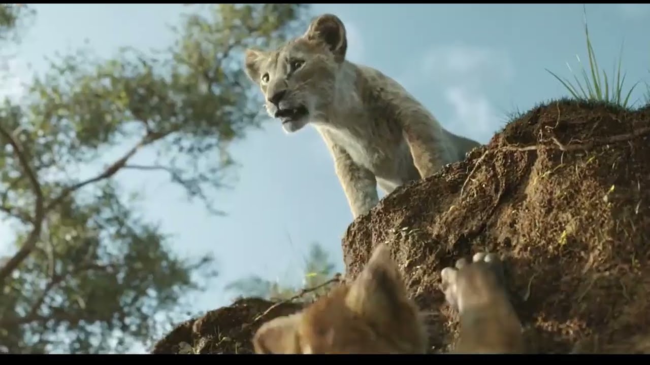 Learn English with Mufasa | Improve Your English the Fun Way!