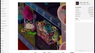 New Furby Spotted!