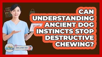 Can Understanding Ancient Dog Instincts Stop Destructive Chewing? - Ask A Pet Vet