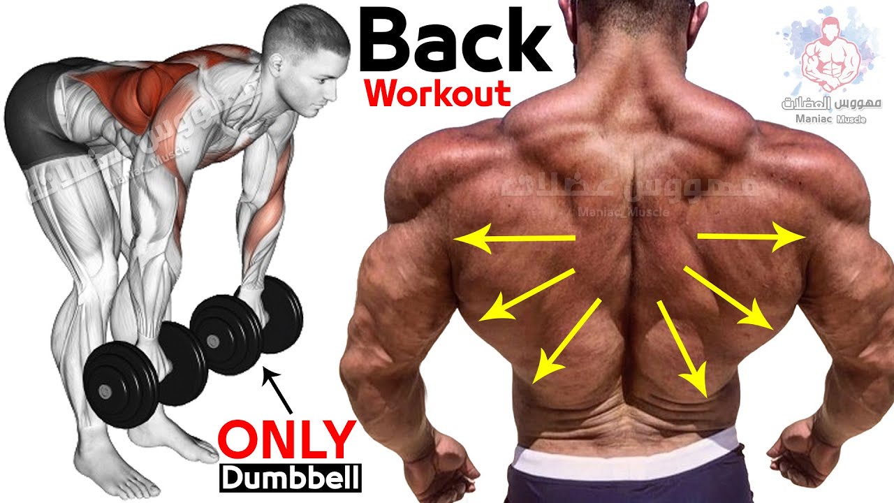 🔴 Exercise Back Workouts (Dumbbells Row Only) 