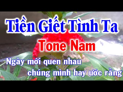 Karaoke Tiền Giết Tình Ta Tone Nam Nhạc Sống l Nhật Nguyễn