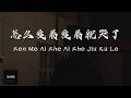 Er Jin Zhi Yu Zhou (二进制宇宙) - Zen Me Ai Zhe Ai Zhe Jiu Ku Le (怎么爱着爱着就哭了) Lyrics 歌词 Pinyin⧸English