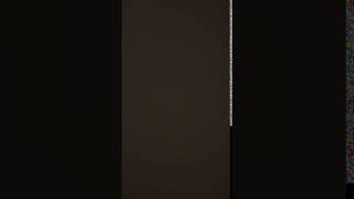 IMG 8958