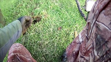 2 HOUR HUNT AT A LOCAL PARK WITH THE X-TERRA 505 METAL DETECTING UK