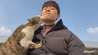 대박 웰그롬 미우크리스피!! 집나간 고양이도 돌아오게 했다(EnSub)