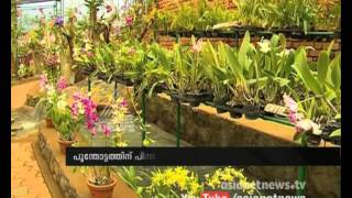 Vagamon orchid garden attracts tourists screenshot 4