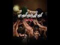 moharram shorts