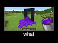 Minecraft wait what meme part 3 Nether portal